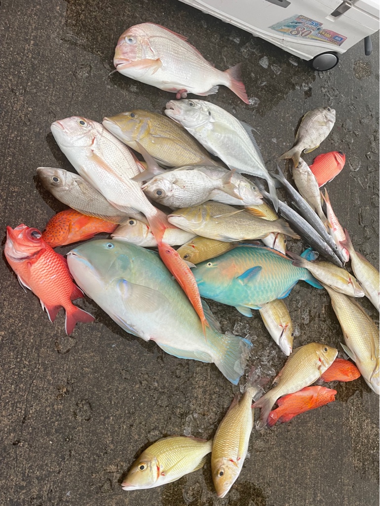 ヨナバルマジクをはじめ多種多彩な魚が釣れます♪