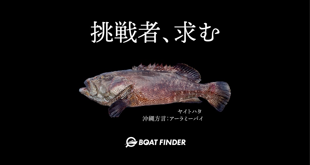 【沖縄】BoatFinder公式ツアー
