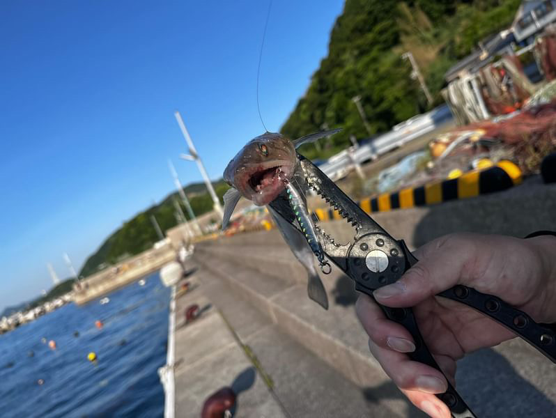 ユーザーアイコン