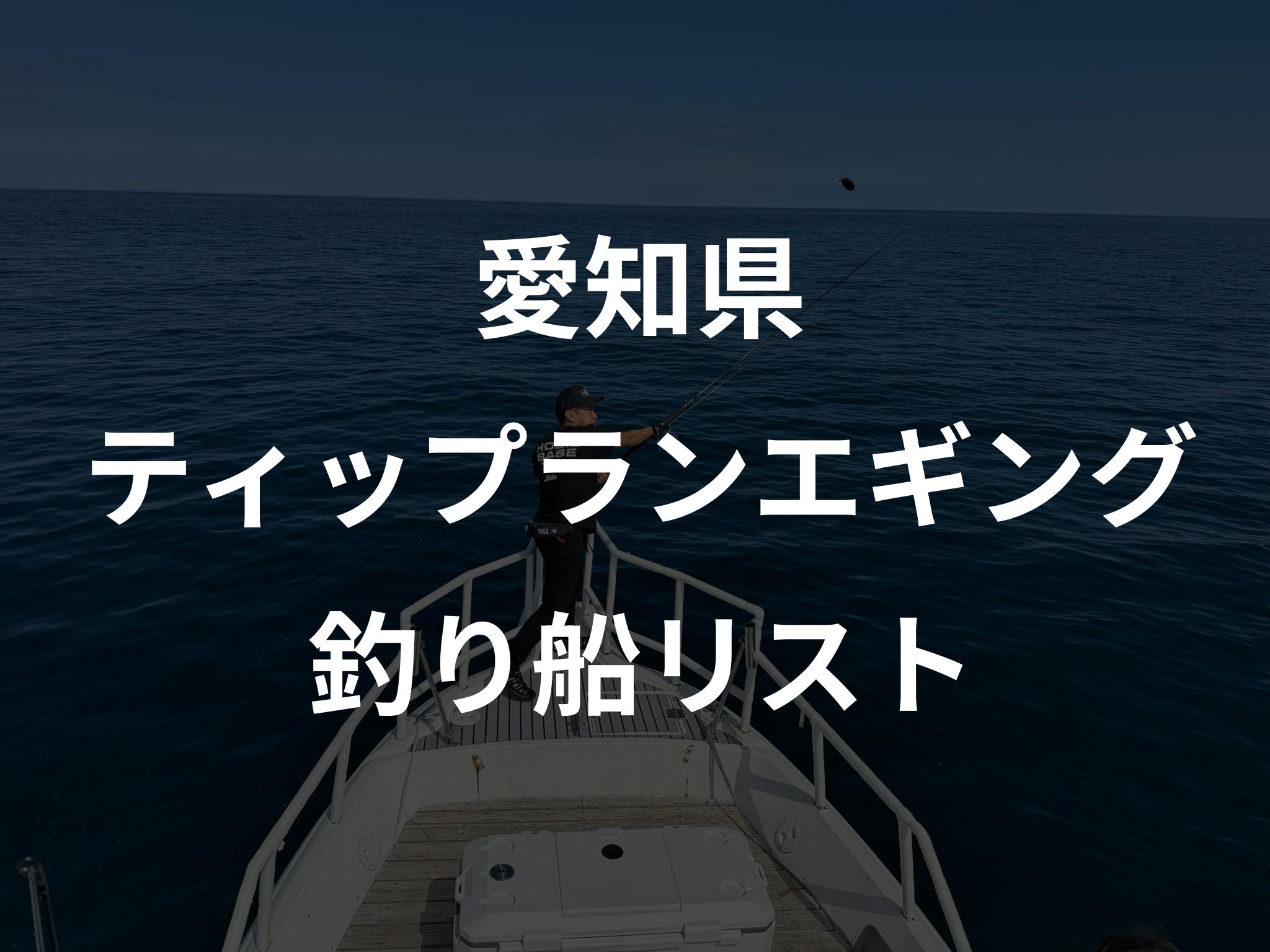 愛知県のティップランエギング船リストアップ