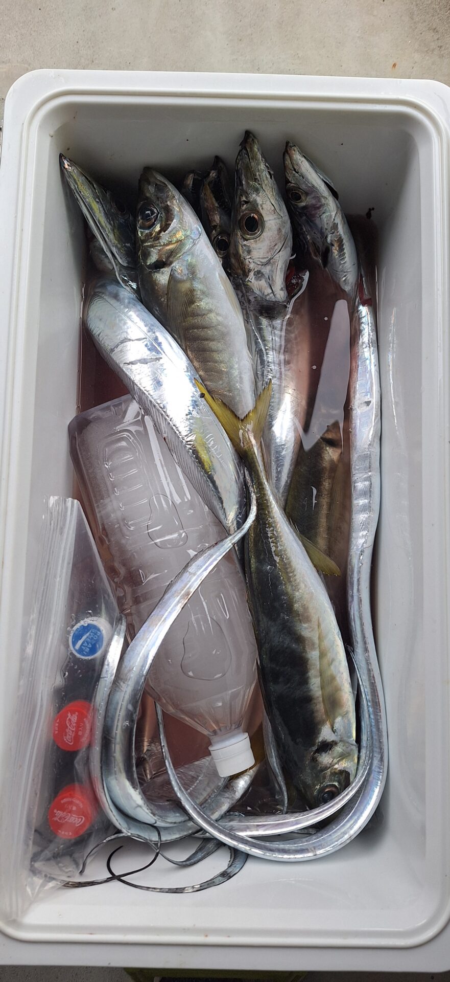 釣華丸（SEEKERS）