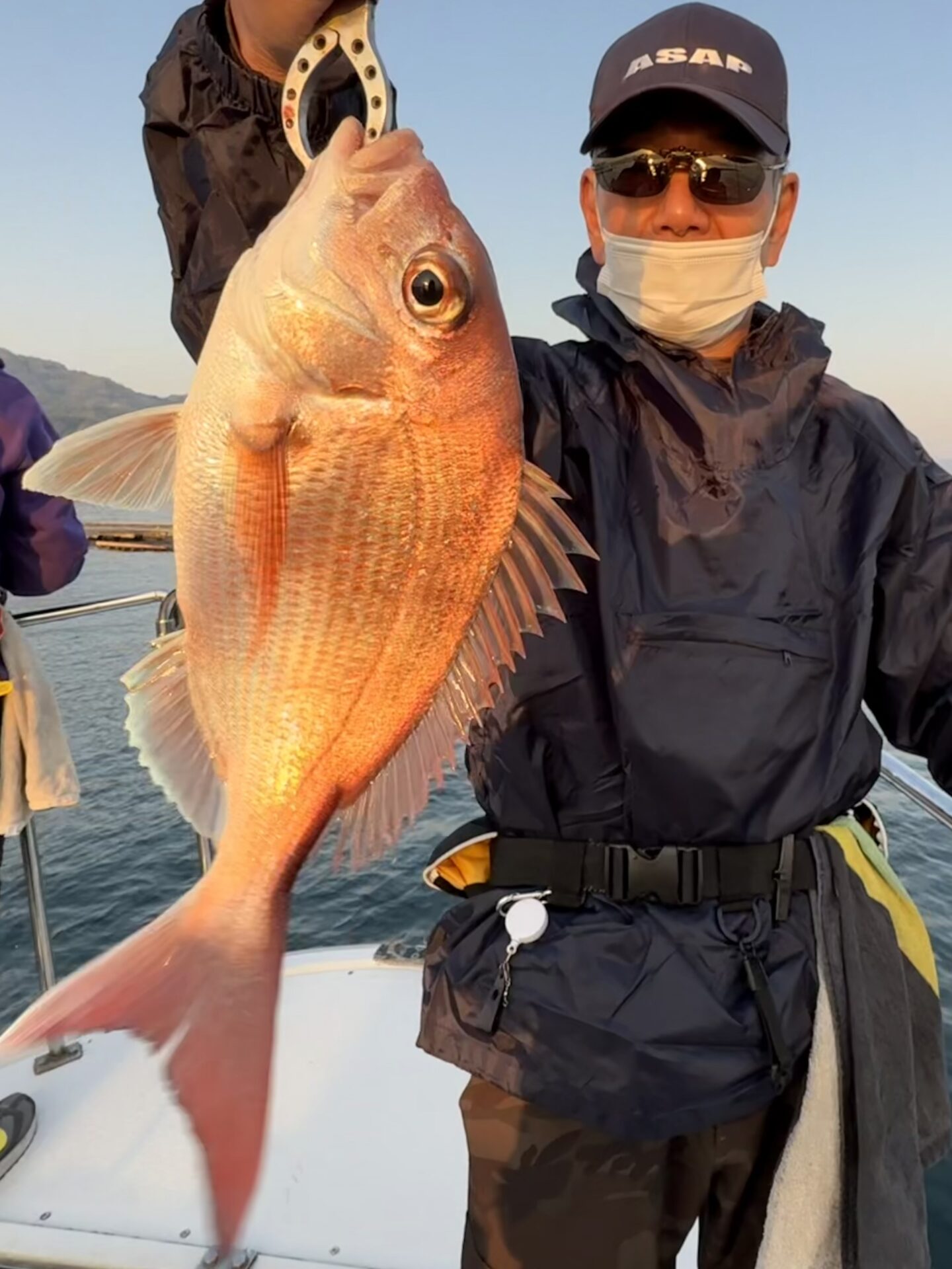 YELLOW-TAIL