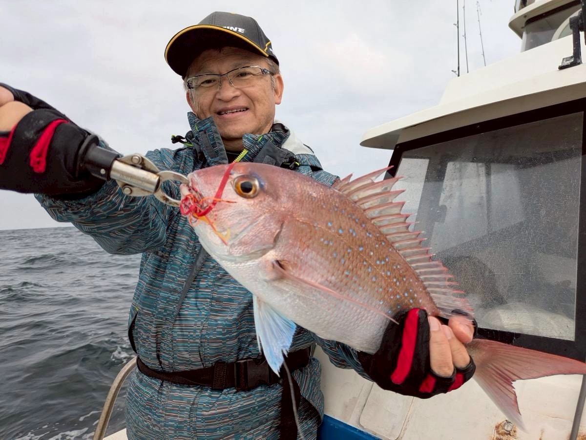 NAO FISH