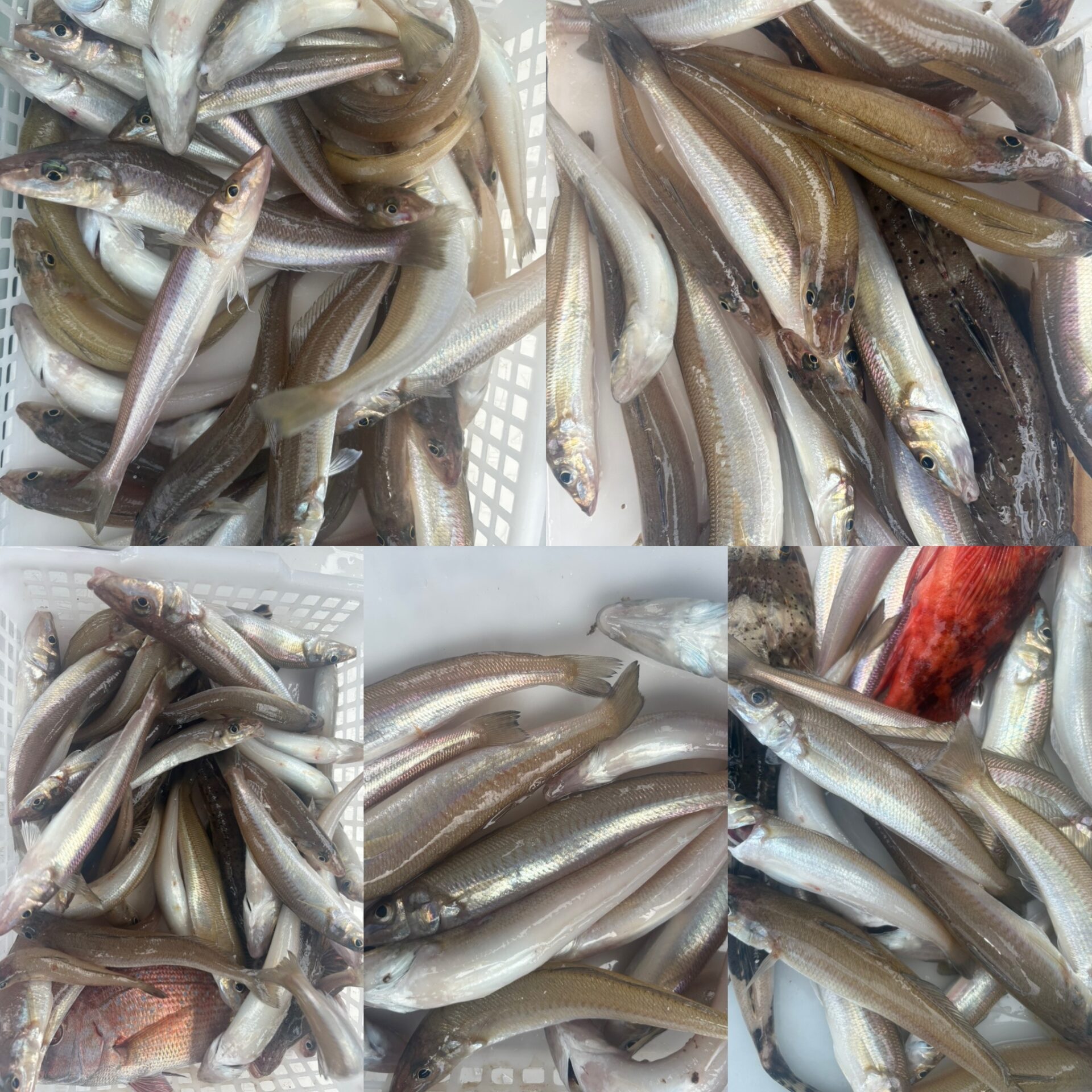 内浜丸