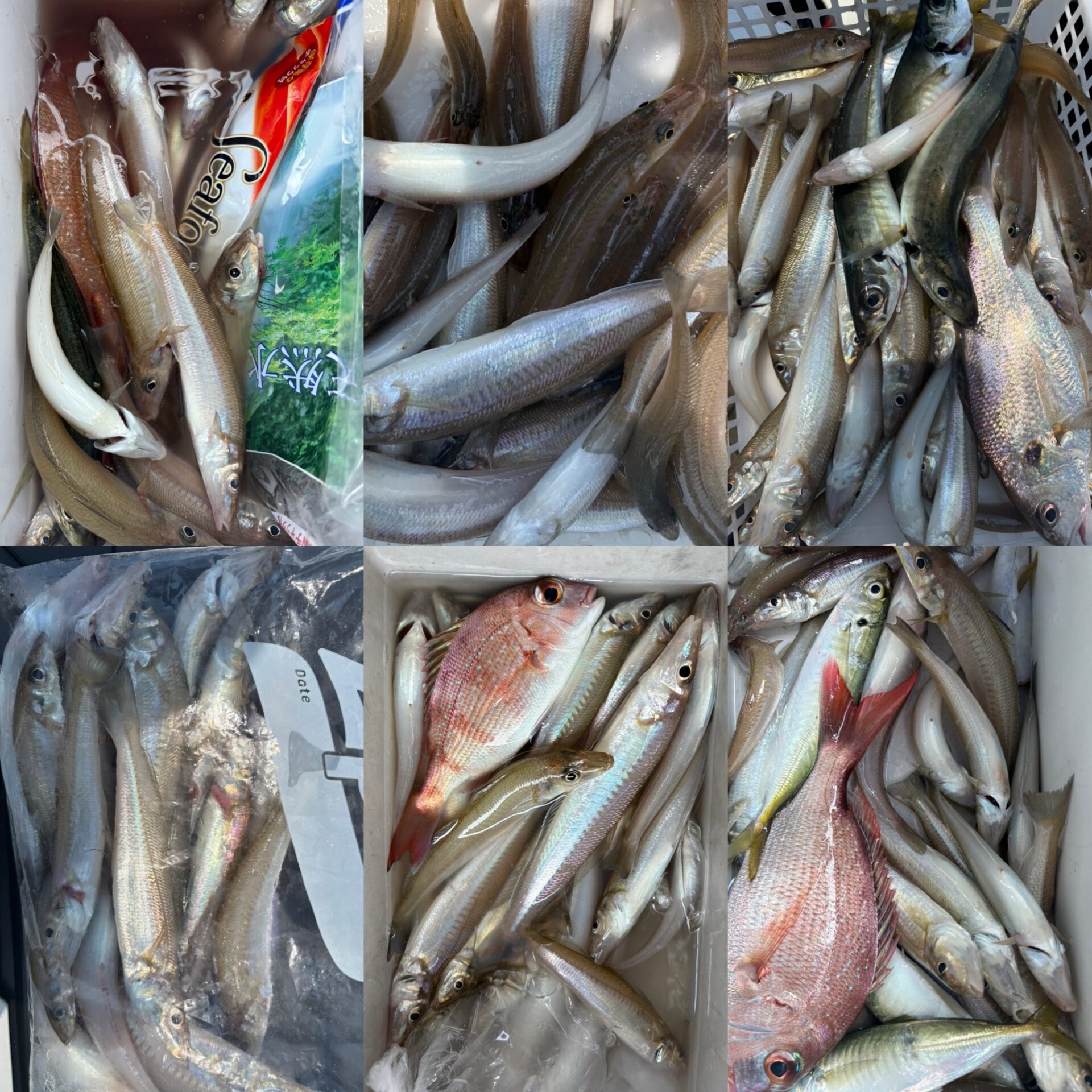 内浜丸