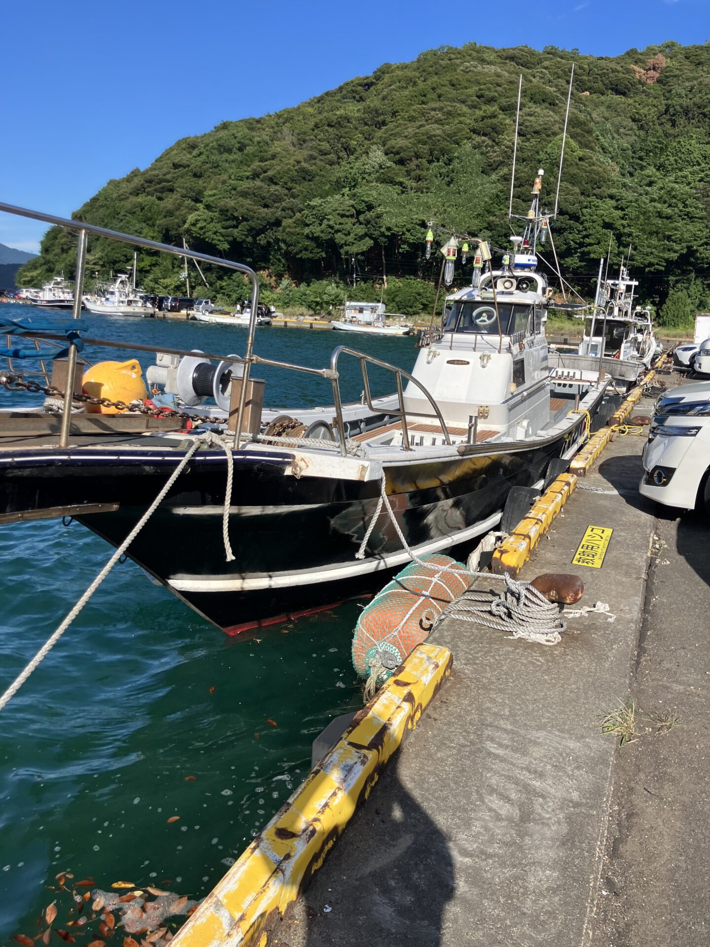 若狭湾イカゲーム