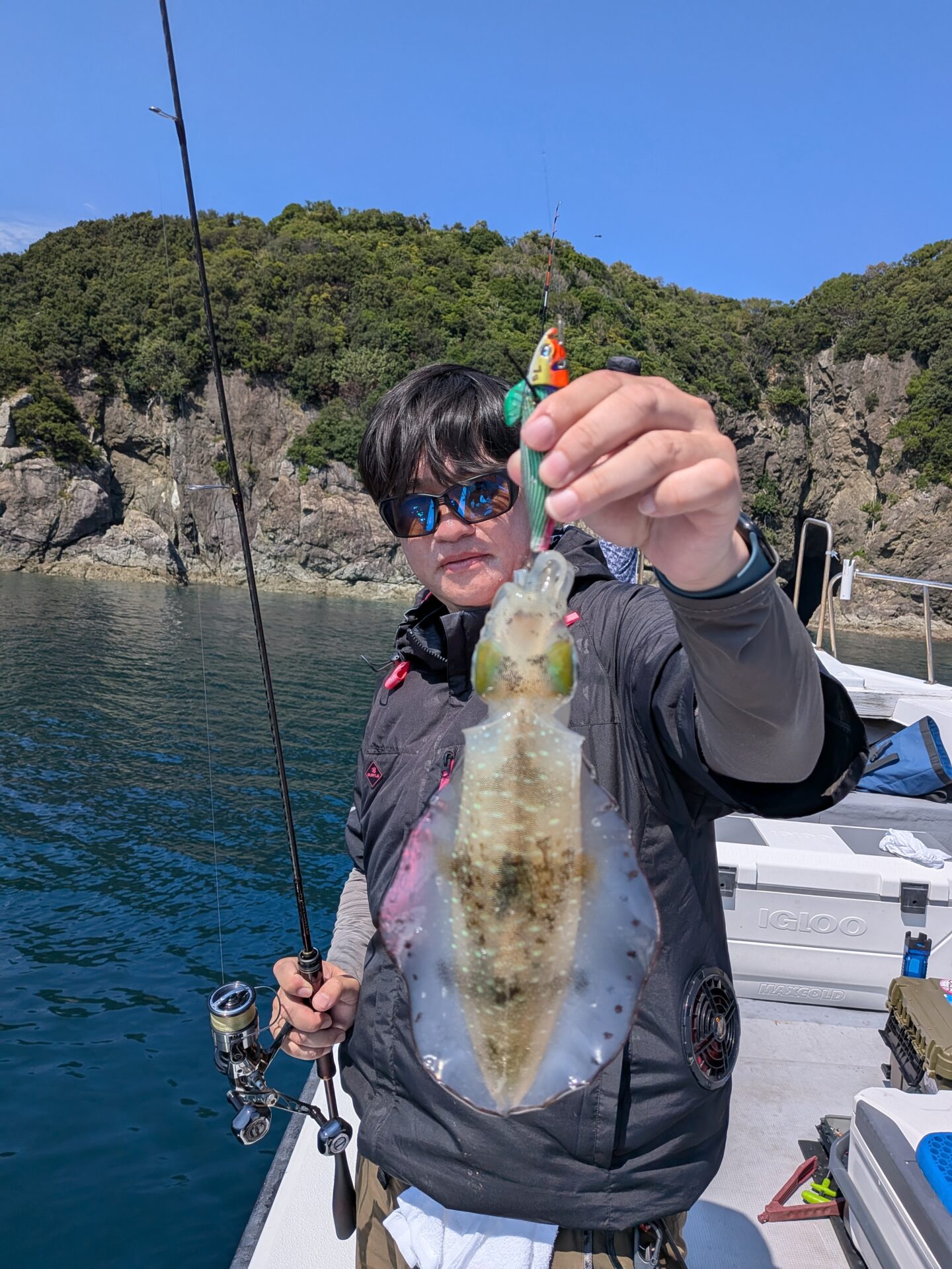 ティップラン便