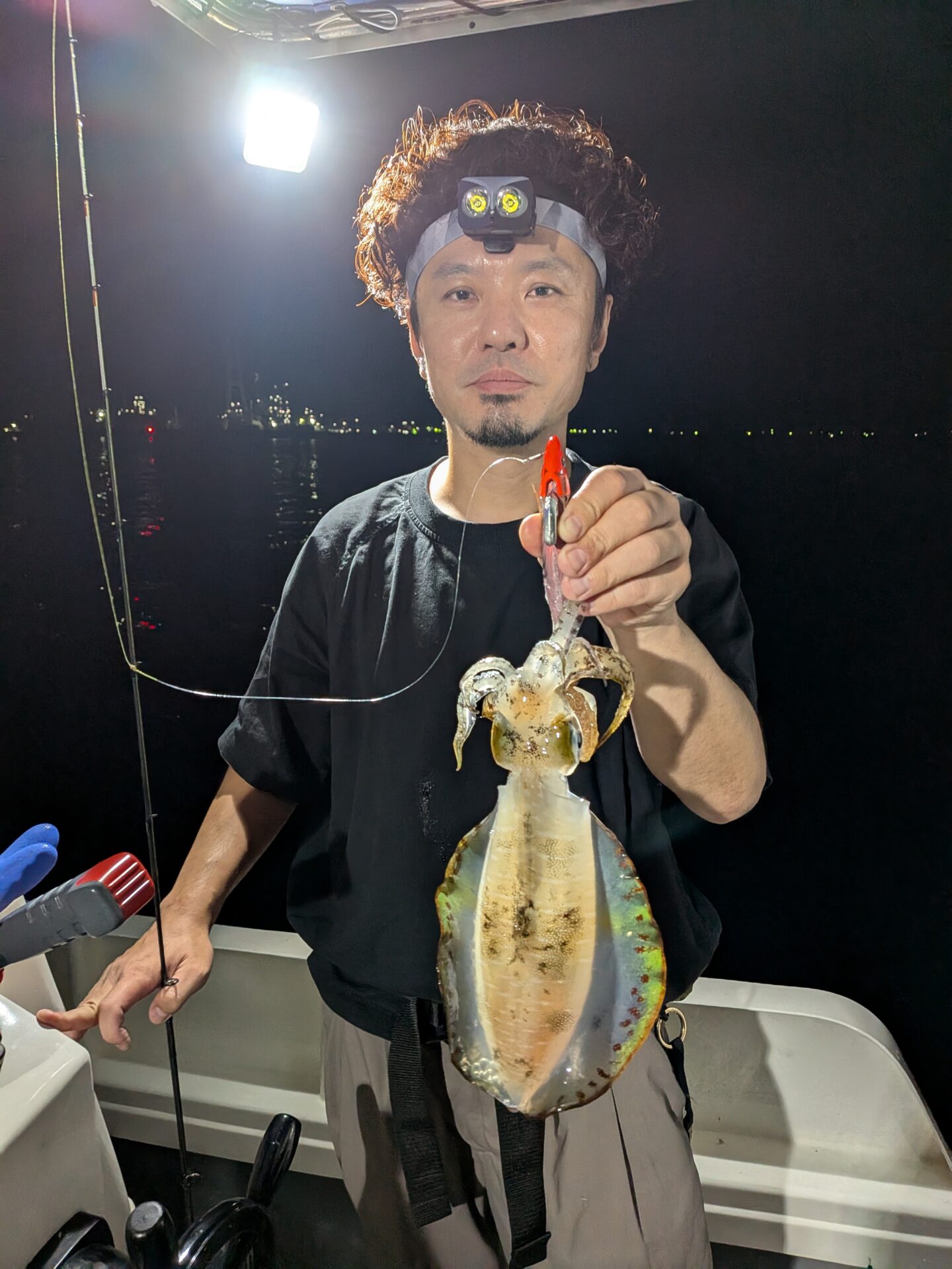 ナイトティップラン便