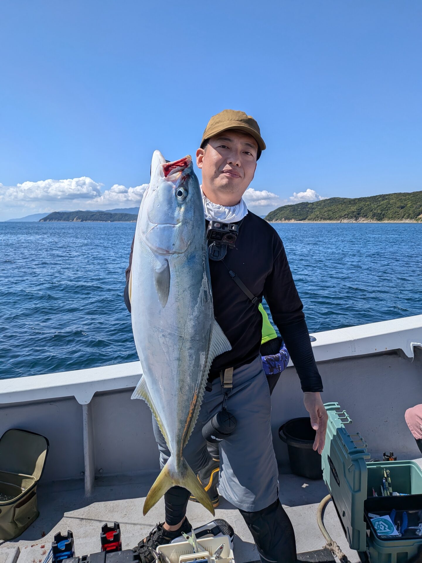 タチウオ青物便