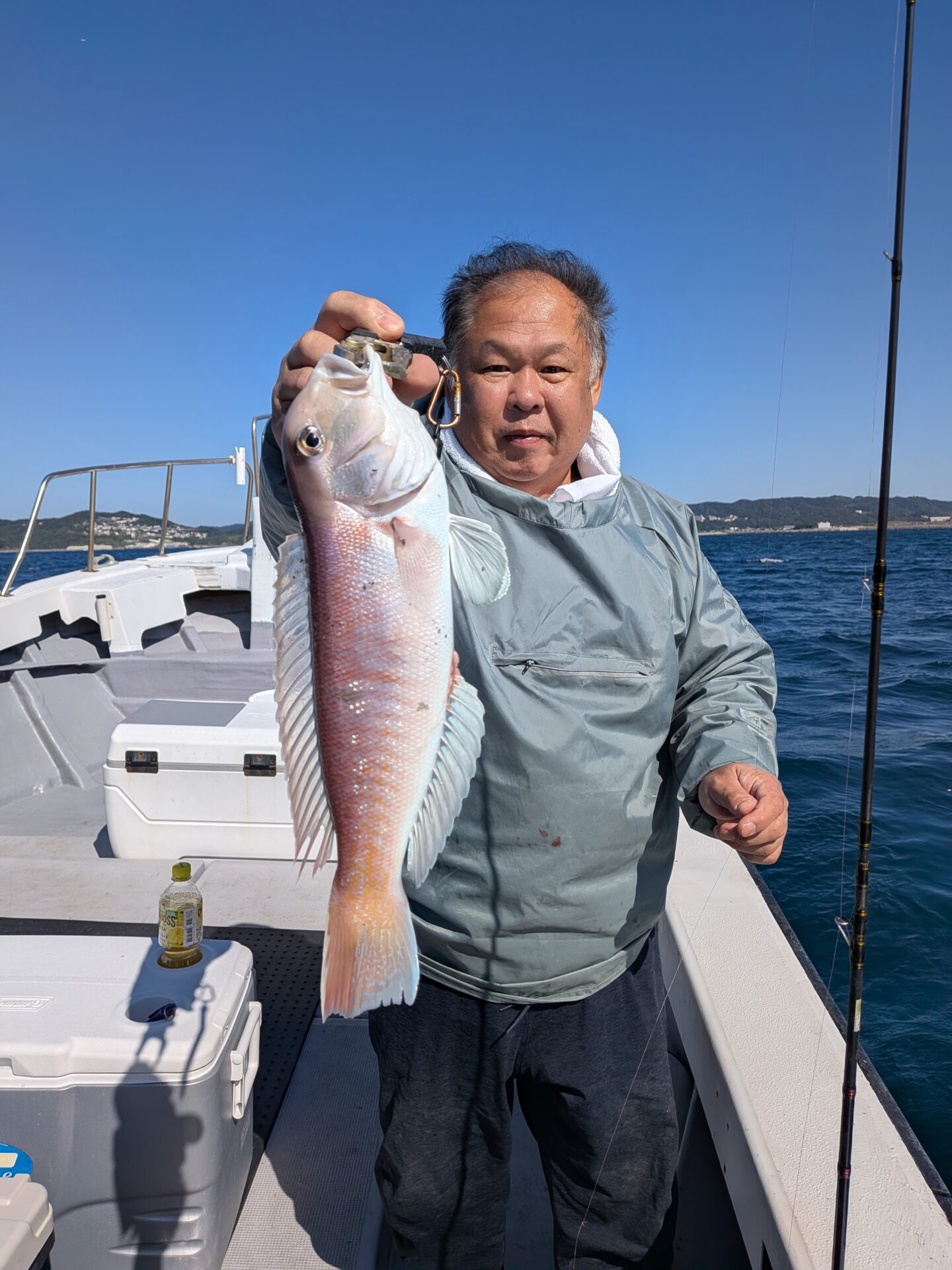 午前アマダイ便