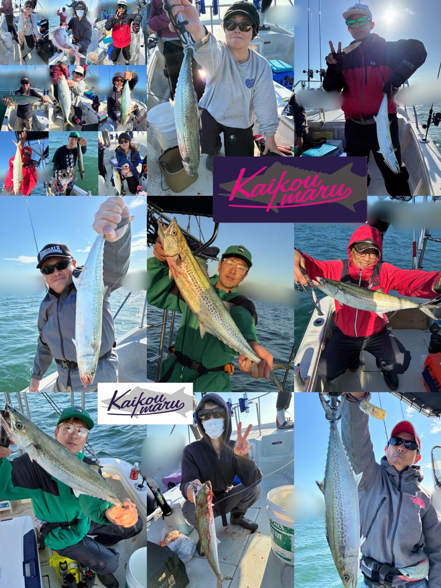 BLJ サワラ族＆鰤族