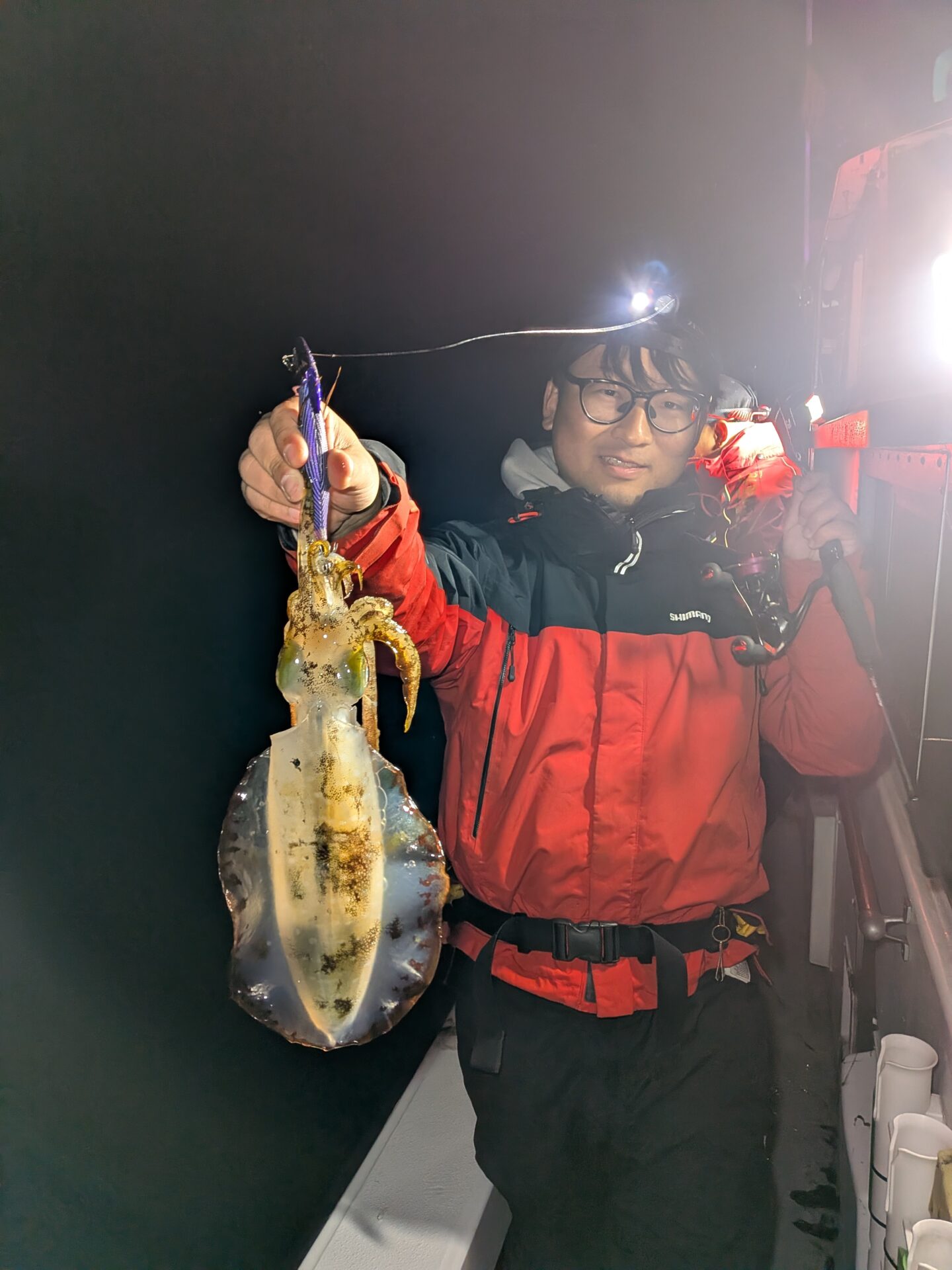 ナイトティップラン便