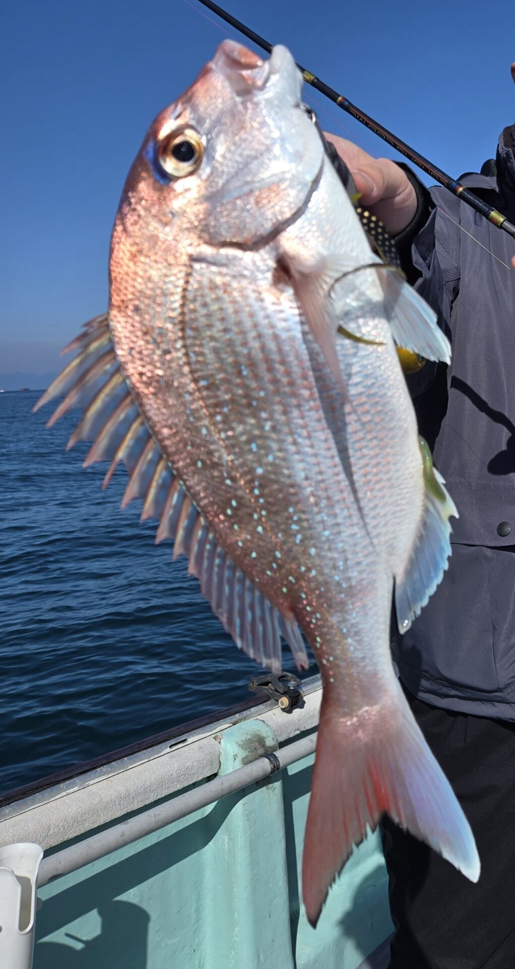 うぇるふぇあフィッシング