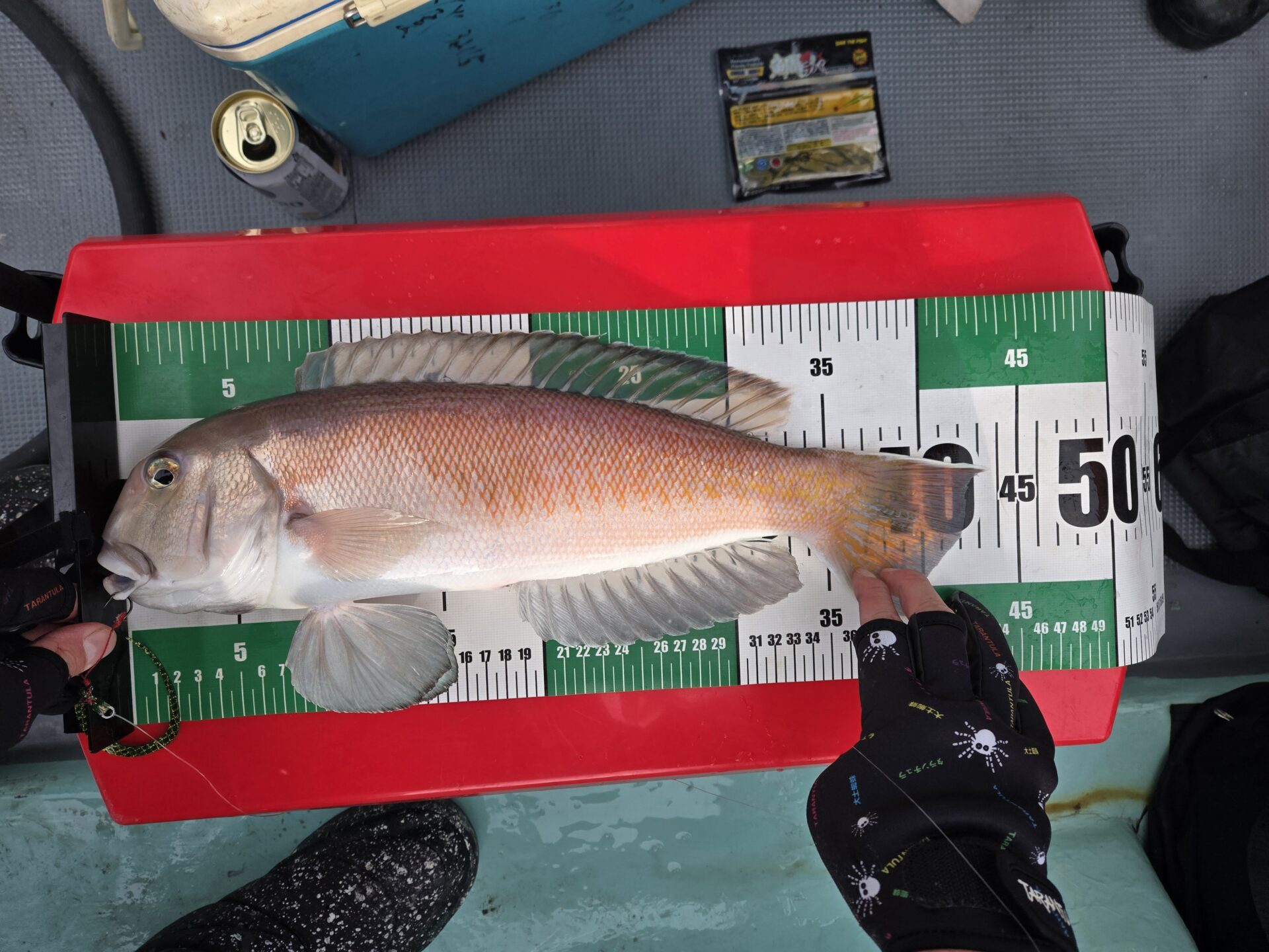 うぇるふぇあフィッシング