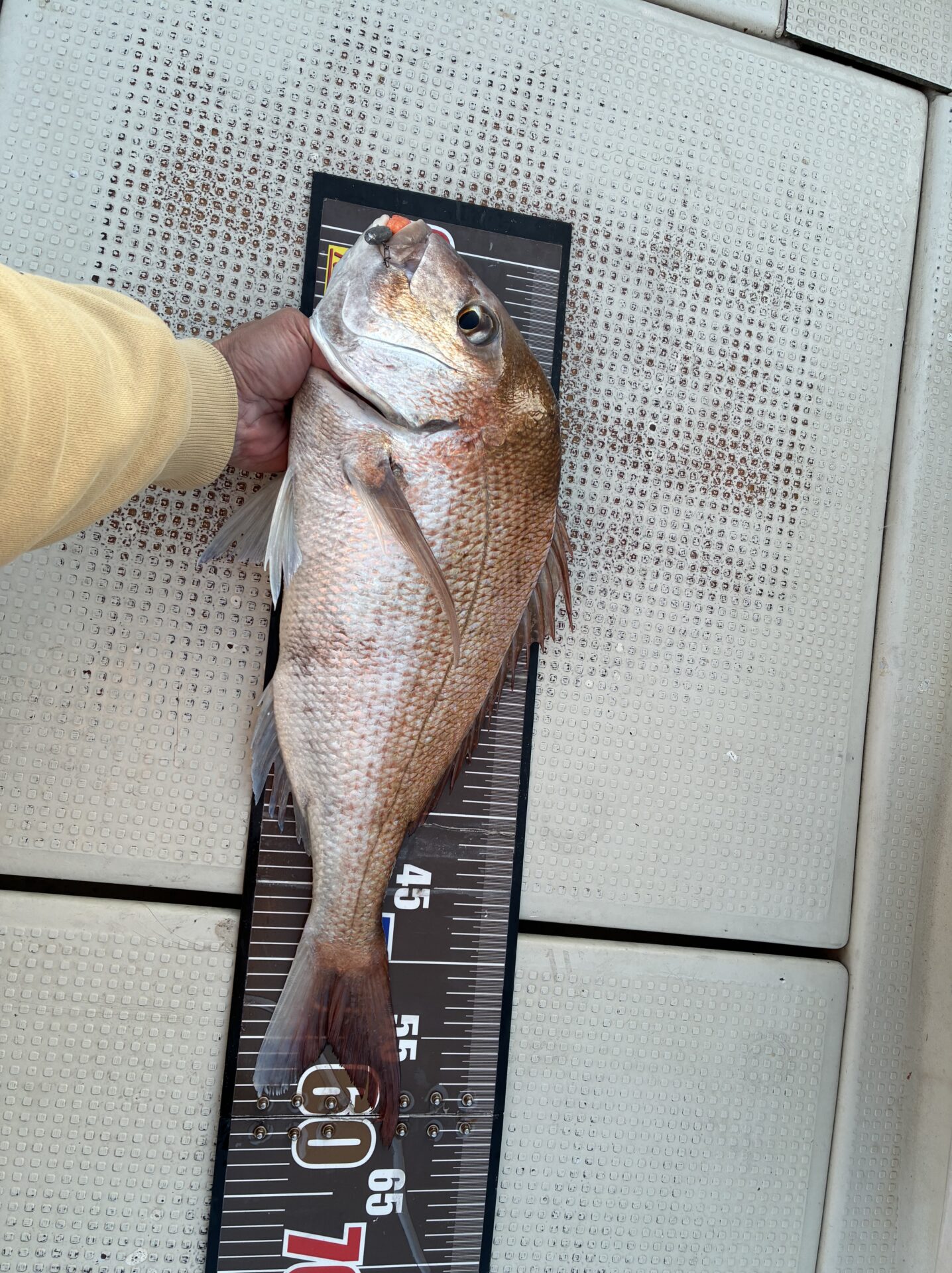 アコラバ＆タイラバ＆ワインド