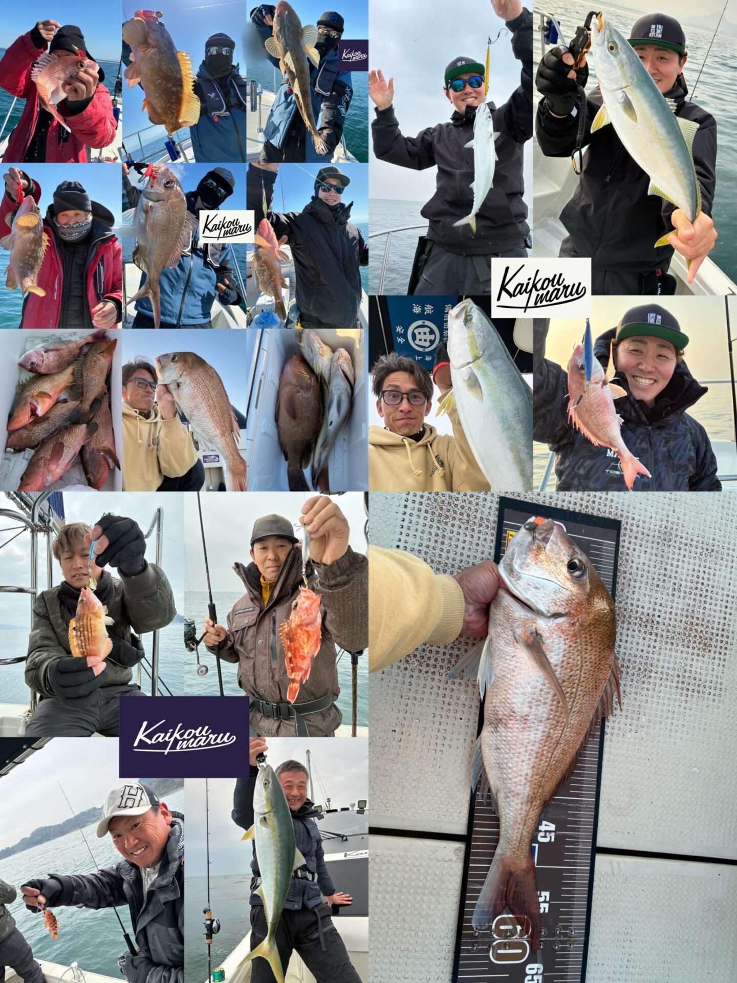 アコラバ、SLJ、ワインド