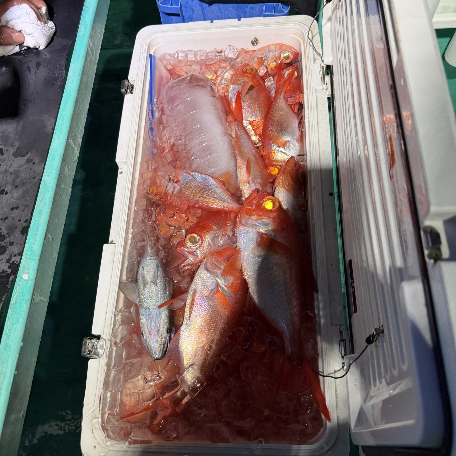 半夜ムツ、キンメ