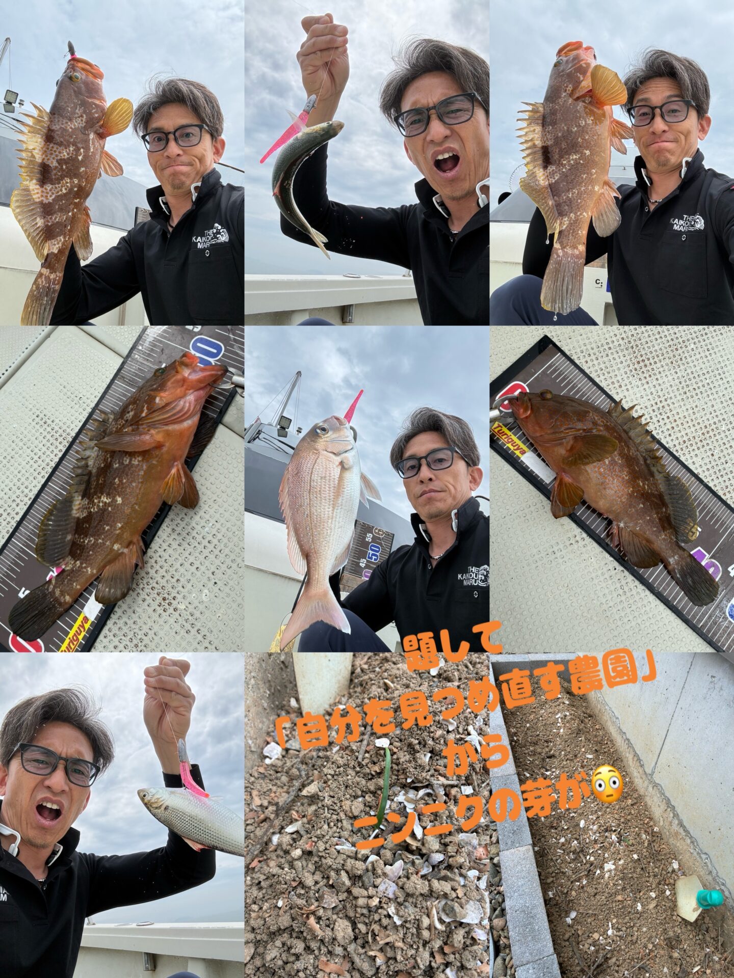 ワインドリサーチ