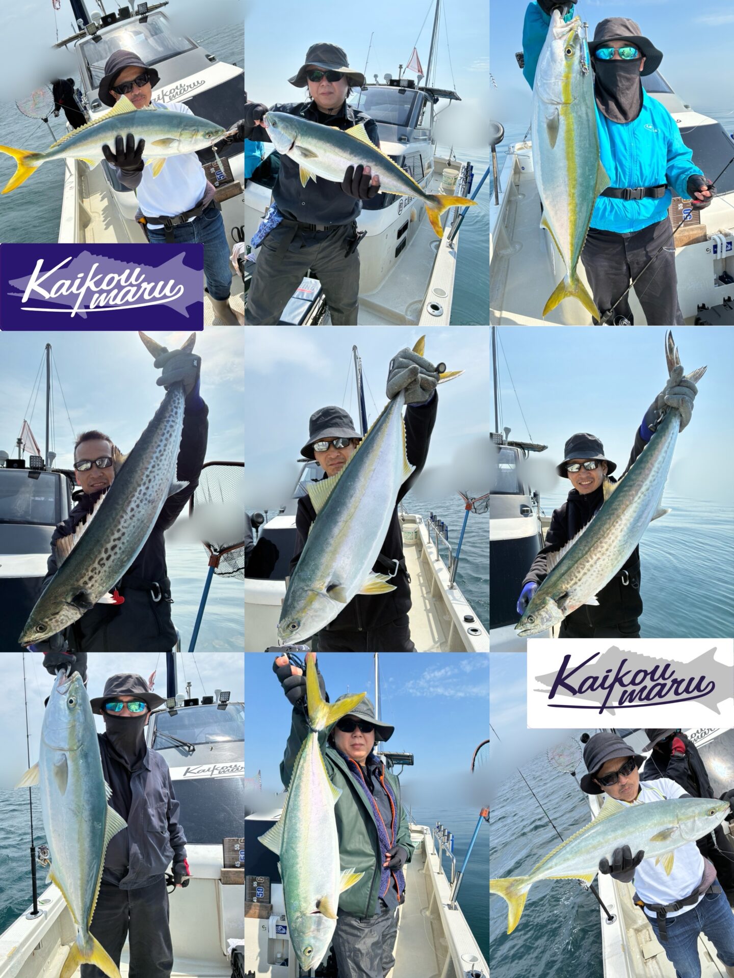 SLJ(BLJ) サワラ便