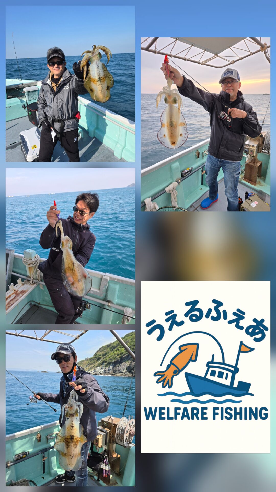 アオリイカ便