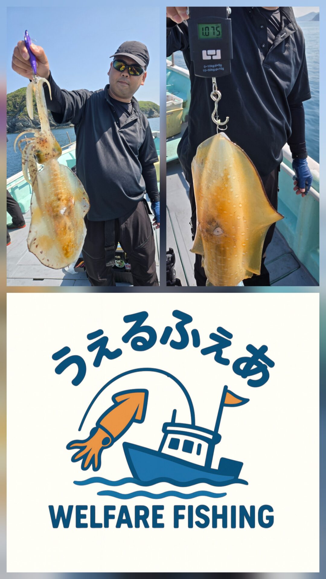 アオリイカ便釣果