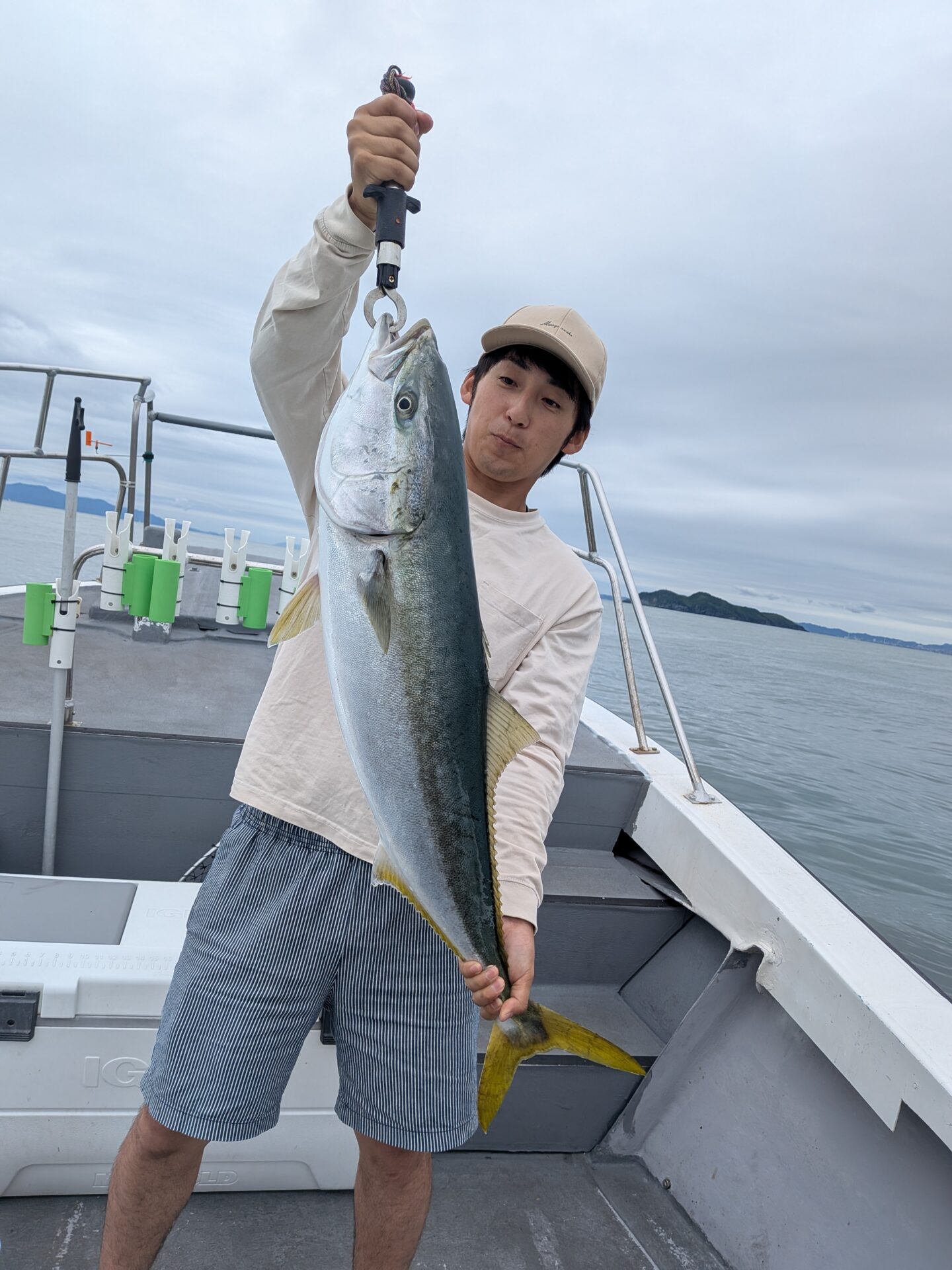 SevenSWell