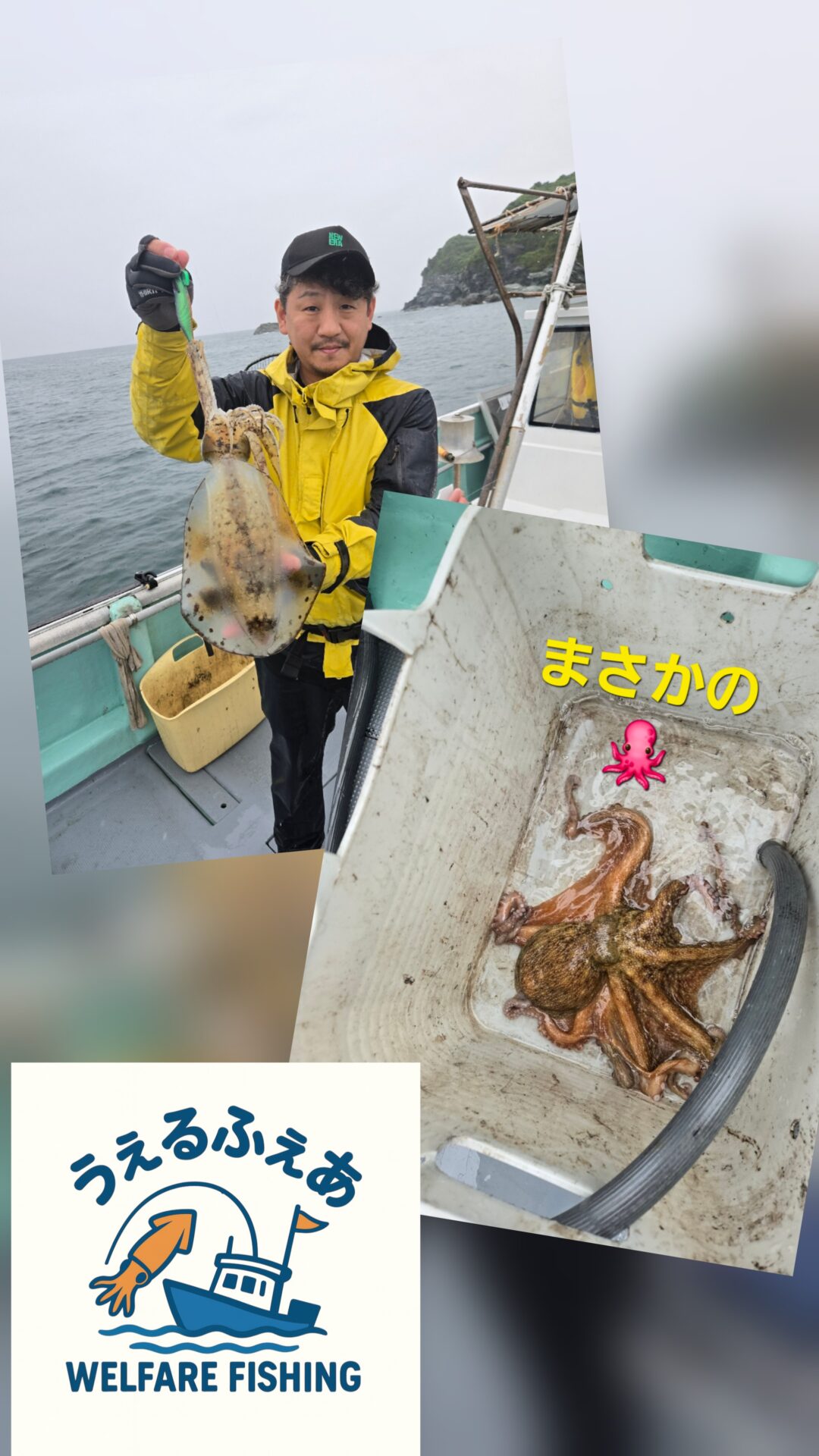 アオリイカ便
